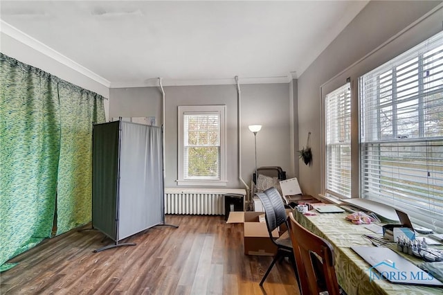 office featuring a wealth of natural light, radiator heating unit, dark wood-type flooring, and ornamental molding