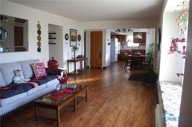 living room featuring wood-type flooring