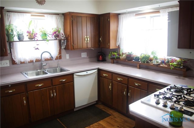 kitchen with dark brown cabinetry, sink, dark wood-type flooring, and white appliances