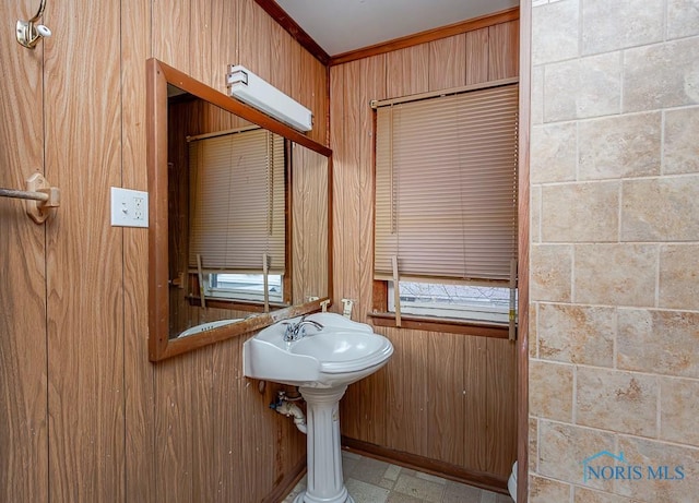 bathroom with wood walls, crown molding, and sink