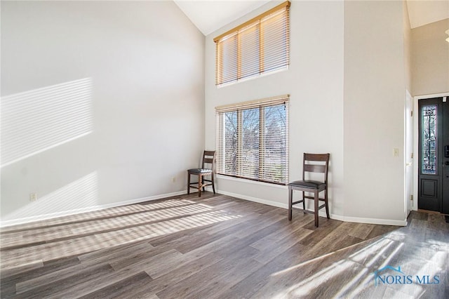 interior space with an inviting chandelier, high vaulted ceiling, and hardwood / wood-style flooring