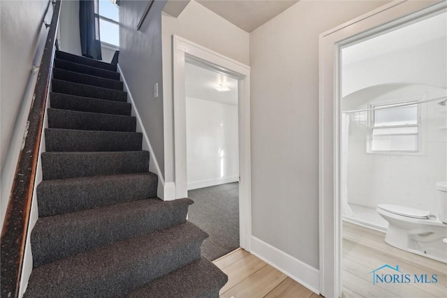 staircase featuring hardwood / wood-style floors