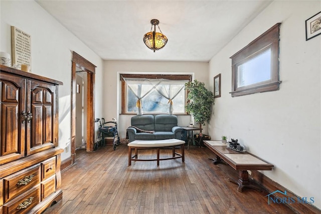 living area featuring dark hardwood / wood-style floors