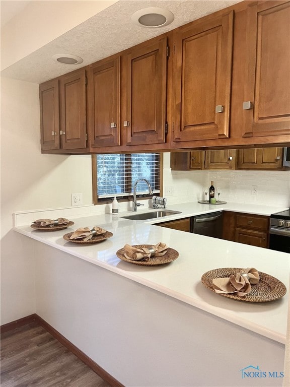 kitchen with stainless steel dishwasher, dark hardwood / wood-style flooring, and sink