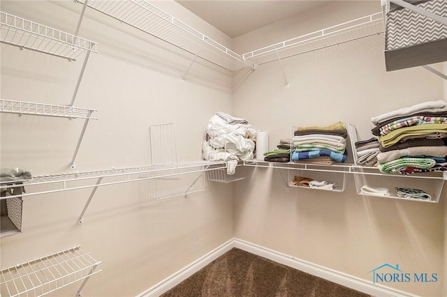 spacious closet with carpet flooring