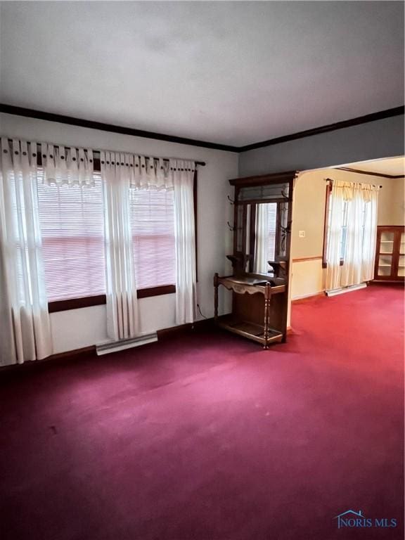 miscellaneous room featuring carpet and crown molding