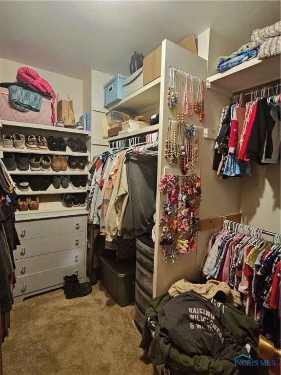 spacious closet with carpet floors