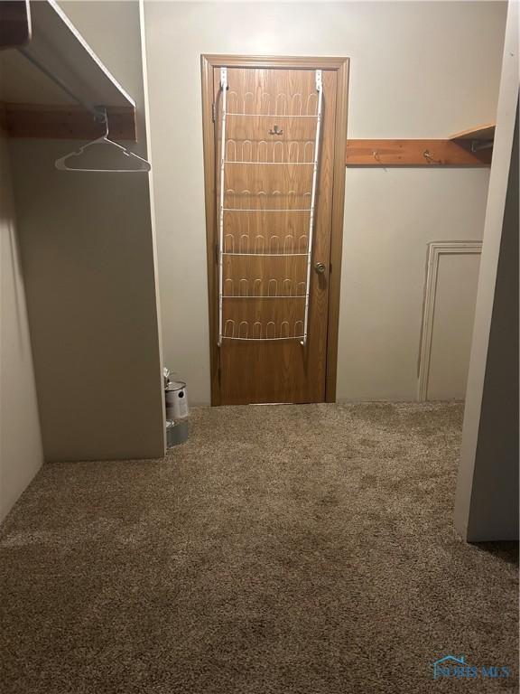 spacious closet with carpet flooring