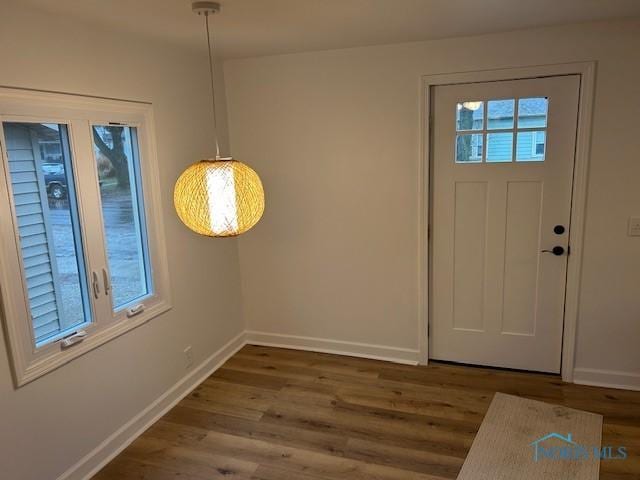 foyer entrance featuring dark hardwood / wood-style flooring