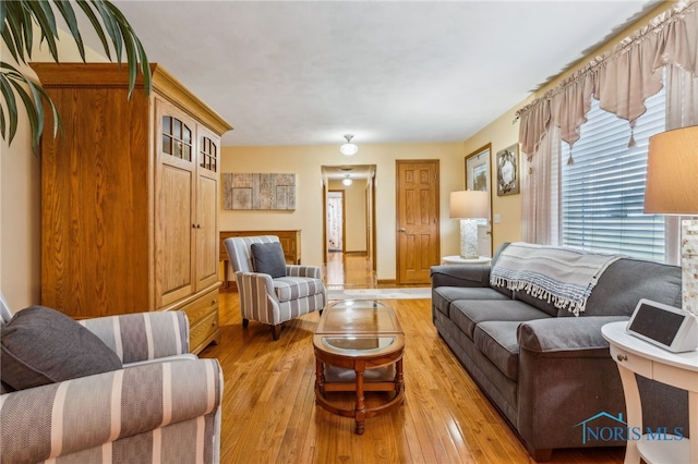 living room with light hardwood / wood-style flooring