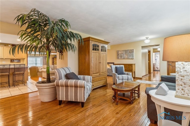 living room featuring light hardwood / wood-style floors