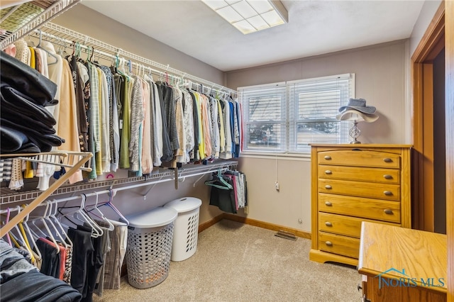 walk in closet featuring light colored carpet