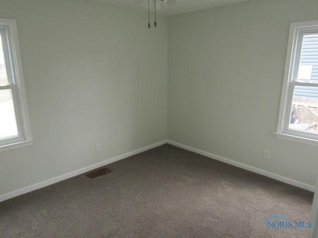 unfurnished room with carpet flooring and a healthy amount of sunlight