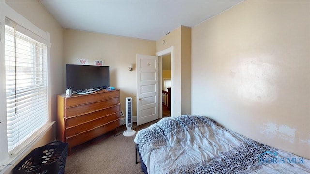 bedroom with carpet floors