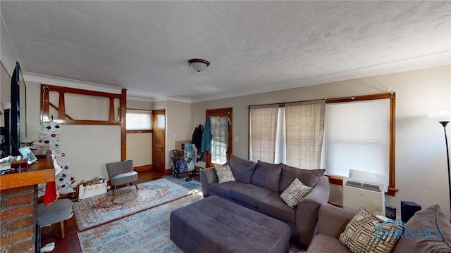 living room featuring hardwood / wood-style floors, a textured ceiling, and crown molding