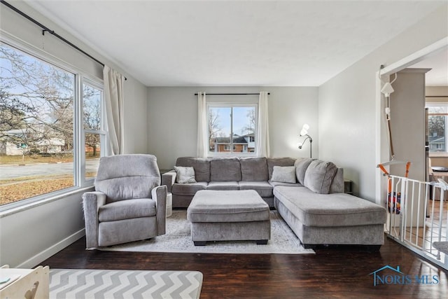 living room with dark hardwood / wood-style flooring