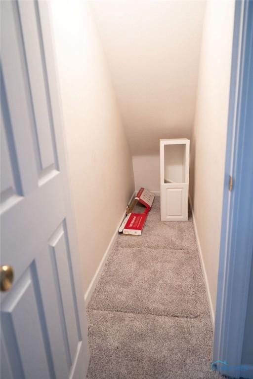 stairway with carpet and lofted ceiling