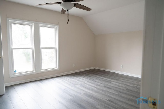 additional living space with plenty of natural light, lofted ceiling, and light hardwood / wood-style flooring