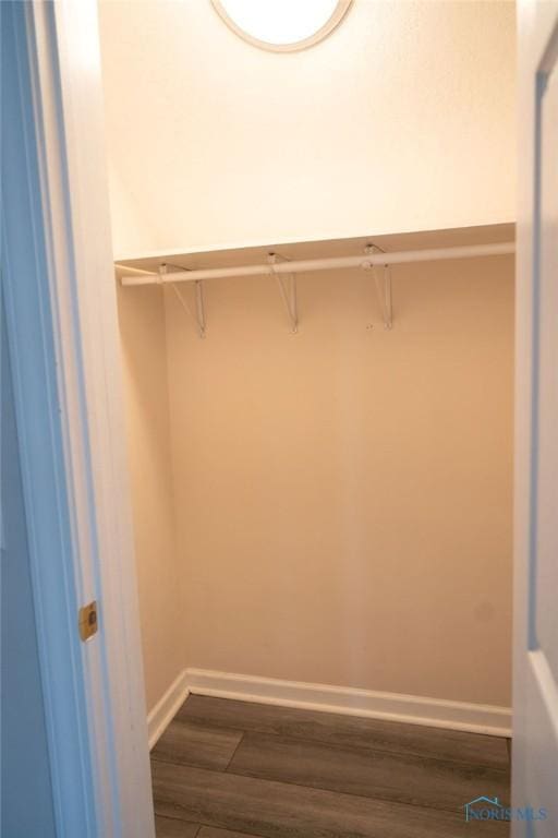 spacious closet featuring dark hardwood / wood-style floors