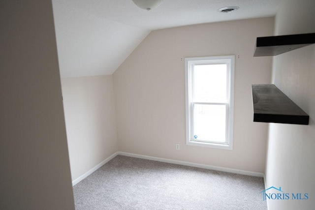 additional living space with lofted ceiling and carpet floors