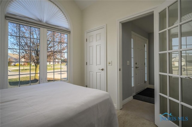 bedroom with carpet