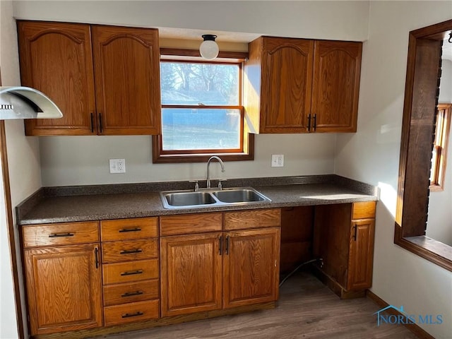 kitchen with sink and dark wood-type flooring