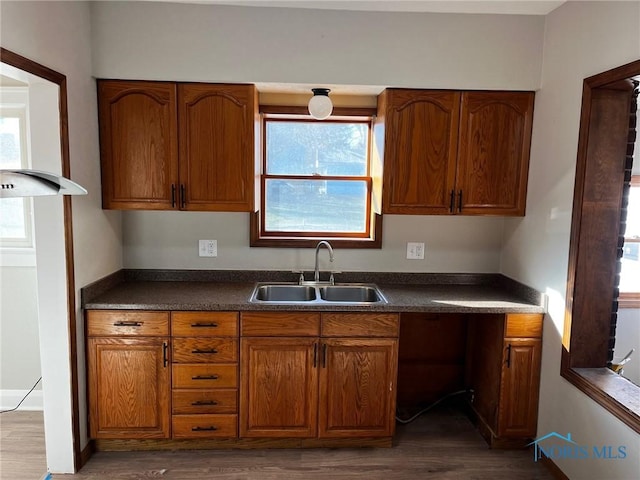 kitchen with dark hardwood / wood-style floors and sink