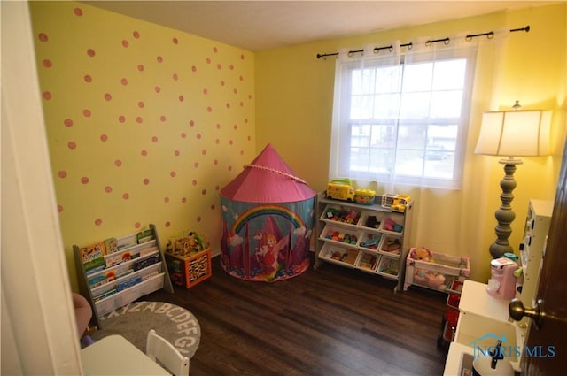 rec room featuring dark hardwood / wood-style floors