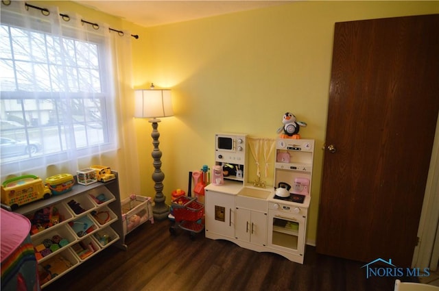 recreation room with dark hardwood / wood-style floors