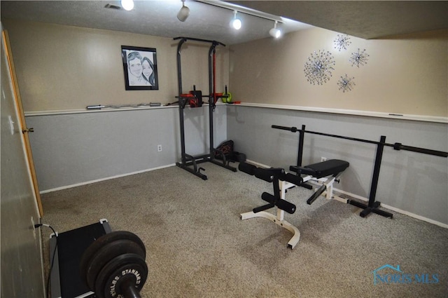 exercise area featuring carpet floors and track lighting