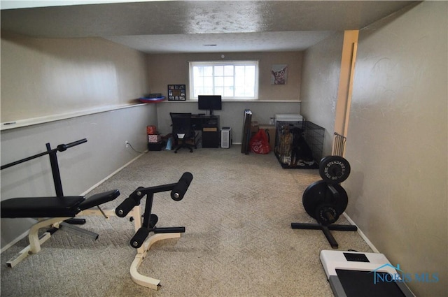 exercise area with carpet flooring