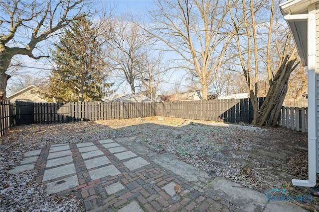 view of yard featuring a patio