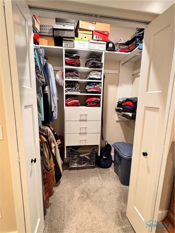 walk in closet featuring light carpet