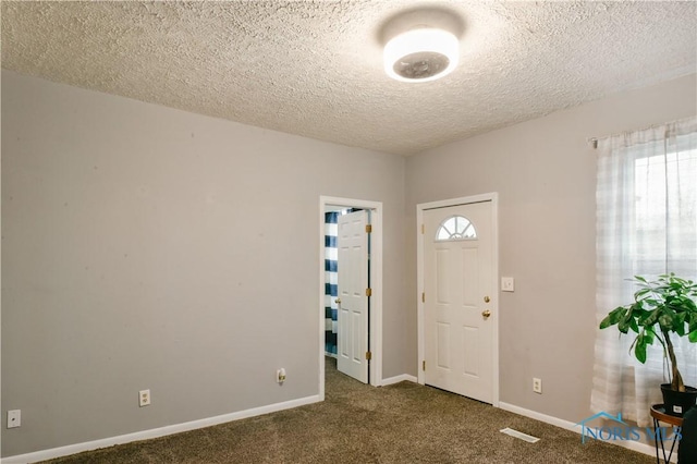 foyer with a wealth of natural light, carpet, and a textured ceiling