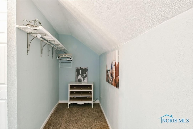 spacious closet featuring lofted ceiling and carpet floors