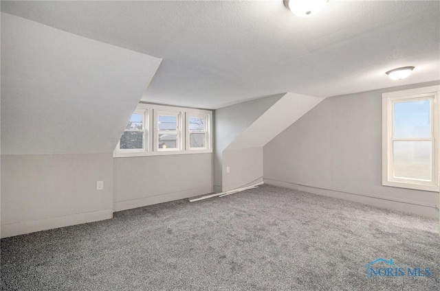 additional living space featuring a textured ceiling, carpet floors, and lofted ceiling