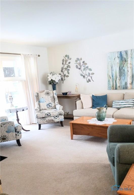 living room featuring carpet flooring