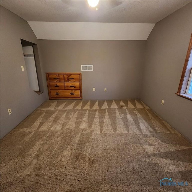 interior space with light carpet, a textured ceiling, and vaulted ceiling