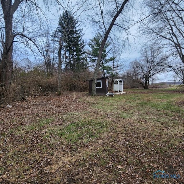 view of yard featuring a storage shed