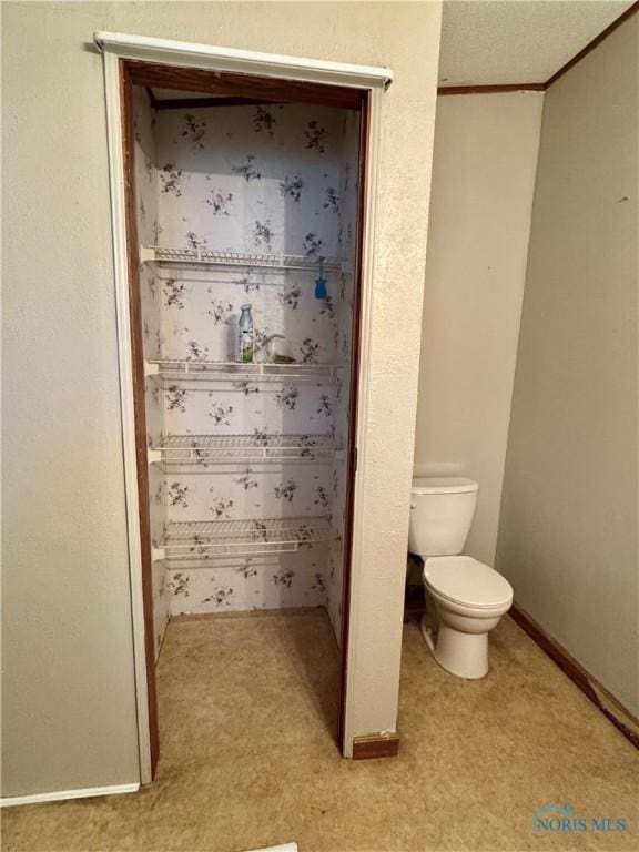 bathroom featuring toilet