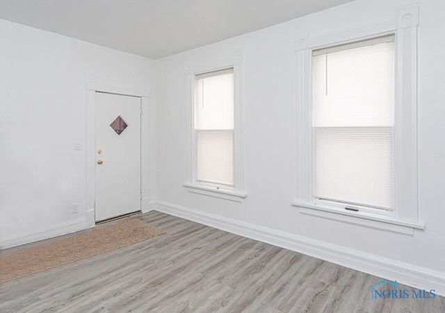 entrance foyer with light hardwood / wood-style flooring