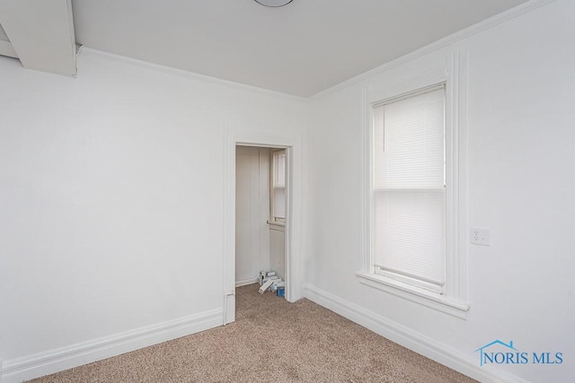 empty room featuring crown molding and carpet