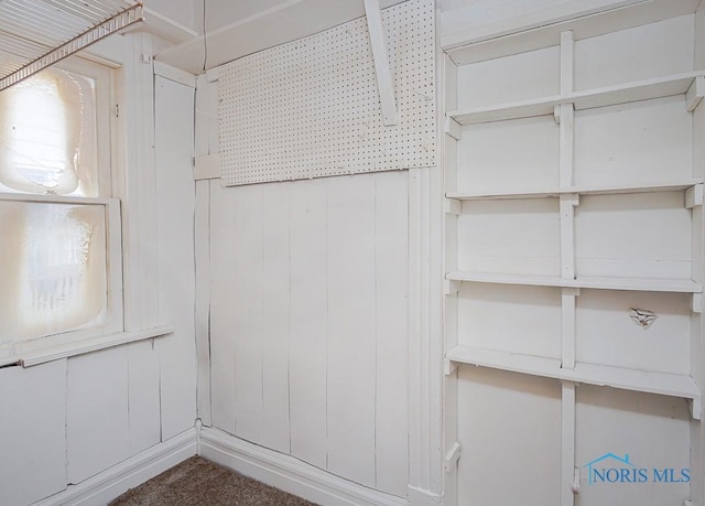 walk in closet featuring carpet flooring