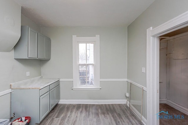 interior space featuring gray cabinetry and light hardwood / wood-style floors