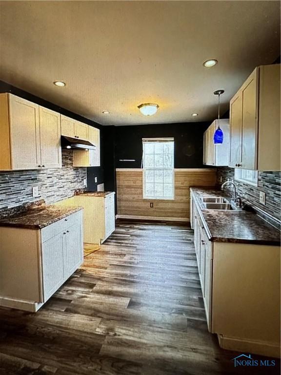 kitchen featuring dark hardwood / wood-style flooring, sink, and hanging light fixtures