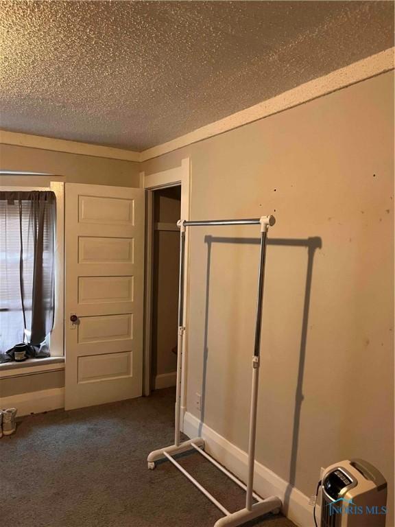 interior space with carpet and a textured ceiling