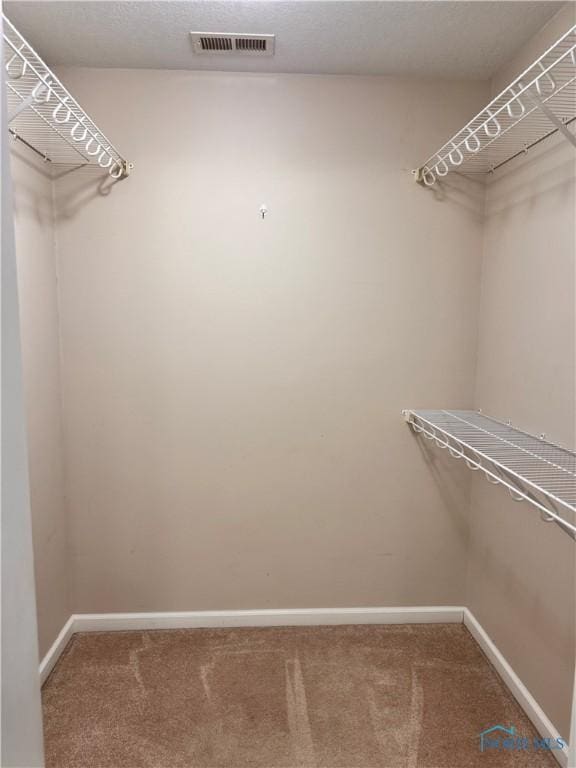 walk in closet with carpet flooring