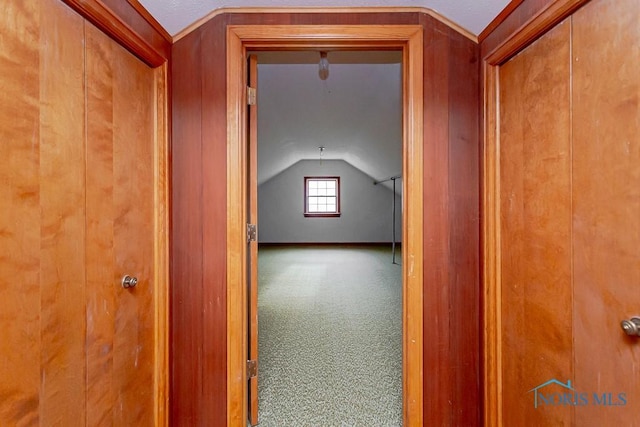 additional living space with carpet flooring and vaulted ceiling