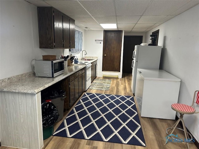 kitchen with dark brown cabinetry, fridge, light hardwood / wood-style flooring, and white electric stove