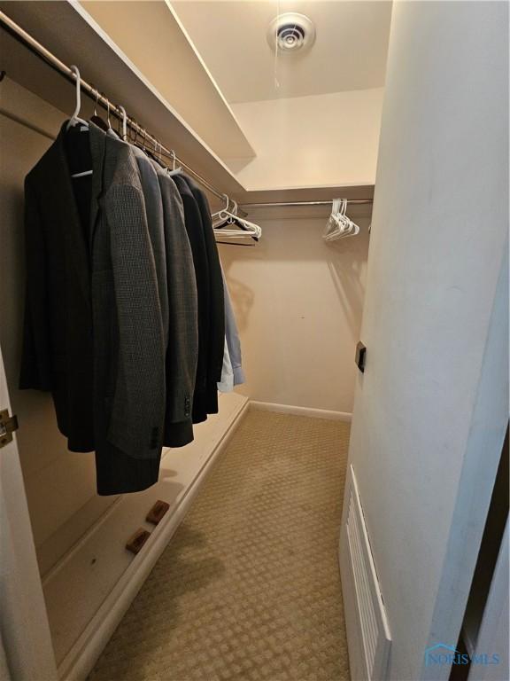 spacious closet with carpet